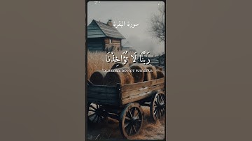 "رَبَّنَا لَا تُؤَاخِذْنَا إِن نَّسِينَا أَوْ أَخْطَأْنَا🕊️| تلاوة مؤثرة بصوت عبدالرحمن مسعد #قرآن”