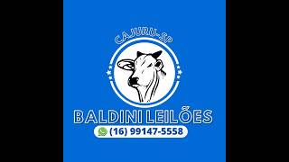 BALDINI LEILÕES