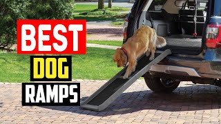 ✅Top 5 Best Dog Ramps for Senior in 2024 by The Pets Products 30 views 11 days ago 4 minutes, 13 seconds