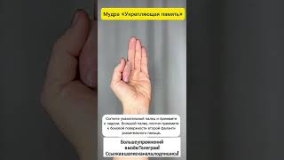 Укрепляем память с помощью мудры ✌ #упражнения