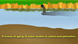 Biology for CBSE Class 12: Eutrophication screenshot 3