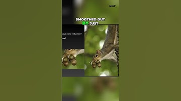Squirrel Photo Post Processing  Avoid Noise Reduction Mistakes!