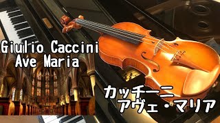 【Ave Maria(Caccini)】を本気でバイオリンで演奏してみました！ アベマリア / アヴェ・マリア / カッチーニ (violin)