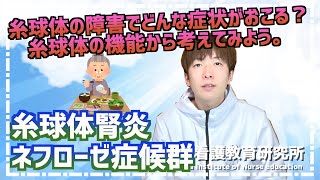 糸球体の障害でどんな症状がおこる？糸球体の機能から考えてみよう。糸球体腎炎、ネフローゼ症候群〜動画版夏季セミナー販売中〜【看護師国試対策】