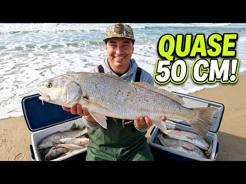 A DAY NEVER TO BE FORGOTTEN, WHAT AN INCREDIBLE FISHING TRIP!