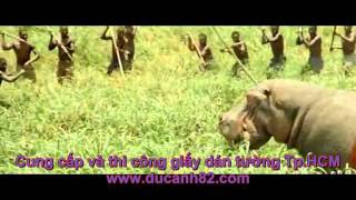 Dã Man, Vũ Trường Trên Sa Mạc Châu Phi, Thế Giới động Vật Hoang Dã Dã Man, Vũ Trường Trên Sa Mạc Châu Phi, Thế Giới động Vật Hoang Dã