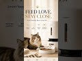 cat feeder