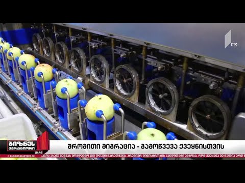 ლეგალური შრომითი მიგრაცია - ახალი გამოწვევა ქვეყნისთვის