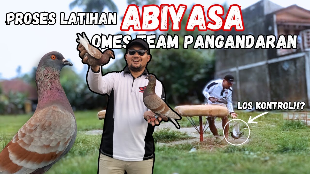ABIYASA OMES TEAM PANGANDARAN || IDAMAN PARA SULTAN⁉️
