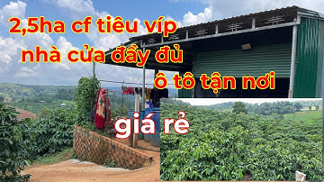 Đã Bán) 2,5ha cà phê tiêu đẹp,nhà cửa đầy đủ giá rẻ lh 0366592989