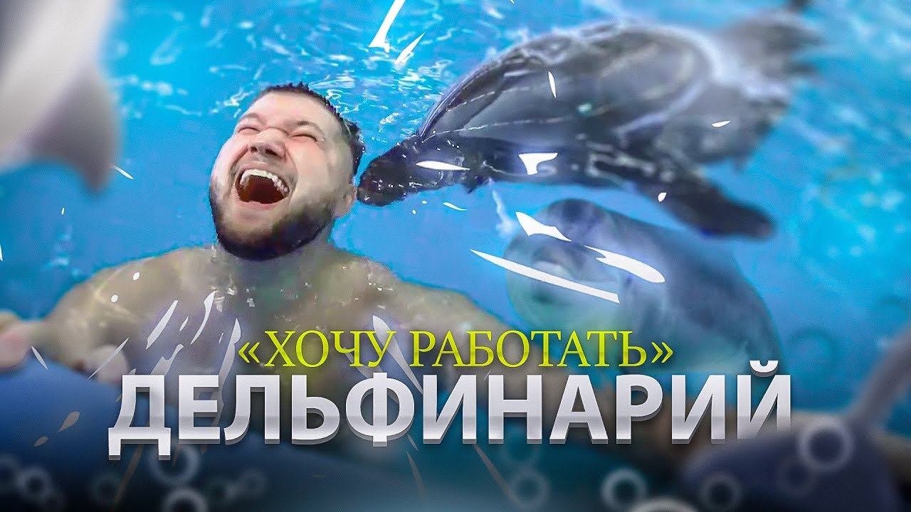 Дельфины лечат людей! Хочу работать в дельфинарии | Дельфинотерапия