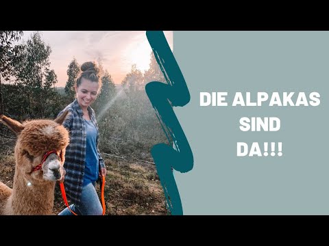 Ich miste aus im neuem Haus | Küche, Bad & Kleiderschrank| Lilies Diary