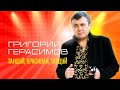 Григорий Герасимов Танцуй красивая танцуй выступление в клубе Кобзарь 2024 Григорий Герасимов Танцуй красивая танцуй выступление в клубе Кобзарь 2024
