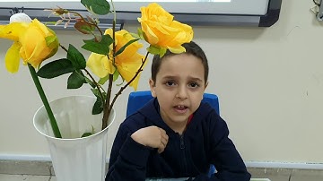 استراتيجية القارئ الصغير سورة الأعلى