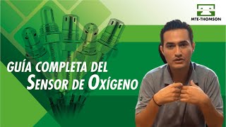 Conventional, Planar, Wideband, and A/F Oxygen Sensors: Theoretical-Practical Training
