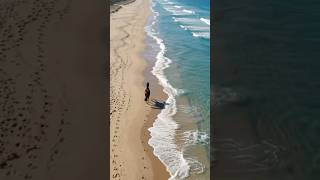 Horse Run on Beach 🐎✨ Epic Ocean Vibes #viral #horse #beach #cinematic #shorts #fyp