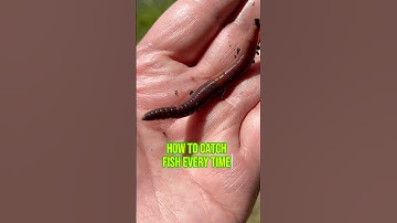 How To Catch Fish EVERY SINGLE Time!! 🎣🐟 #shorts #fishing