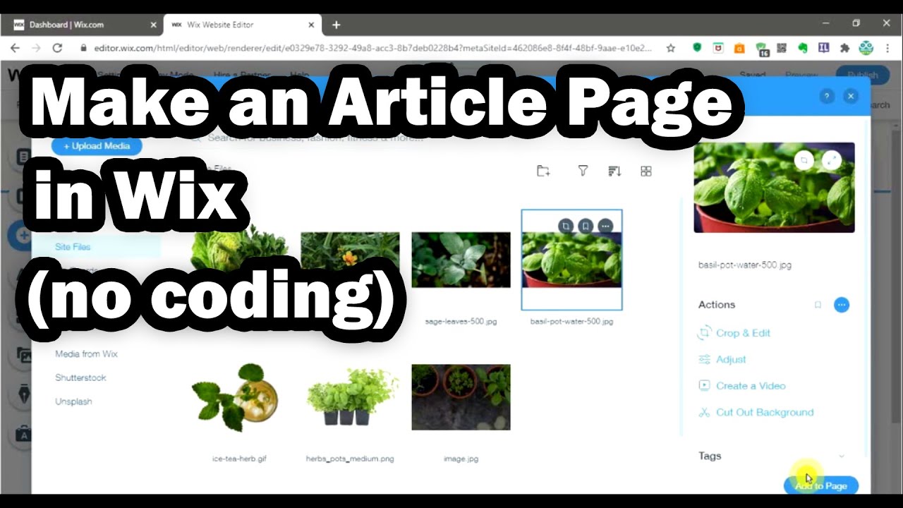 how to publish an article on wix