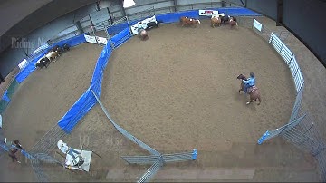 Big Sky Ranch Sorting Saddle Series #6 - Open - Round #2 - Ride #18