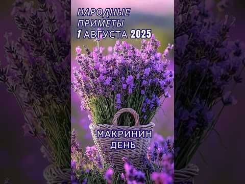 1 августа народные приметы. Приметы на каждый день. Именины 1 августа.