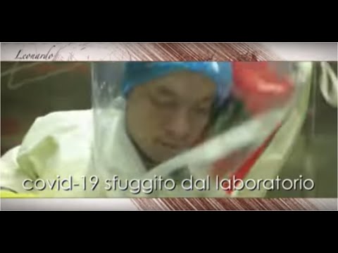 Coronavirus RAI Leonardo 2020 English subtitle. Chinese experiments leaked from lab? COVID 19? Coronavirus RAI Leonardo 2020 English subtitle. Chinese experiments leaked from lab? COVID 19?