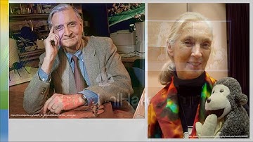 Biodiversity scientists as honest brokers or advocates? | Jonathan Chase | TEDxUniHalle