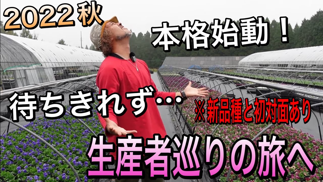 Online Oni Channel] It's finally here Onizuka's premium viola