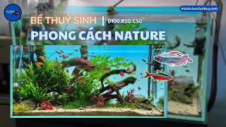 Review Bể Thuỷ Sinh Phong Cách Nature của Sinh Viên Chơi Thuỷ Sinh (Aquarium Nature)