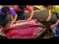 Million Fish Hatchery Farm - Automatic Salmon Egg Insemination System