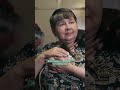 ПРИЮТИЛА 100 КРЫС