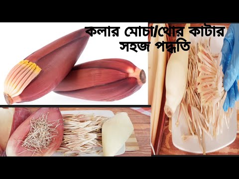 ভিডিও: ঘরে বসে মোচা কীভাবে বানাবেন