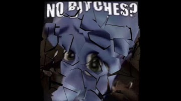 No bitches?