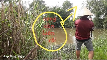 CONG CẦN VỚI ĐIỂM CÂU CÁ TRÊ TỰ NHIÊN NHẠY CÁ #MỒI CÂU NHẠY CÁ #VLOGS NGOẠI THÀNH