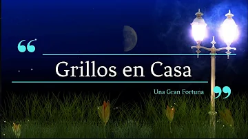 ¿Los grillos dan buena suerte?