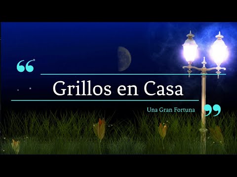 Video: ¿Qué significa cuando alguien dice grillos?