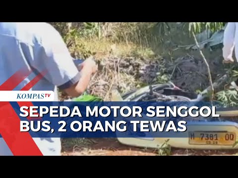 Kecelakaan Maut di Yogyakarta, Sepeda Motor Senggol Bus, 2 Orang Tewas