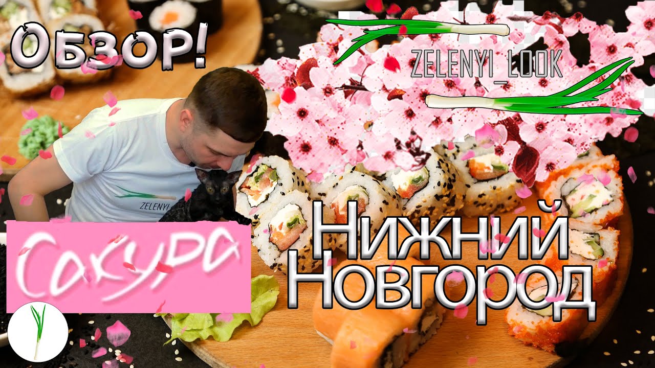 Весна, Сакура, Нижний Новгород, Ада - что эти слова объединяет? Конечно ...