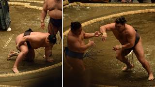 Hoshoryu fitness doubts as Kirishima "gives off Yokozuna aura" (Sumo News, Jul 3rd)