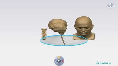 Traumatic Brain Injury Analysis with Abaqus