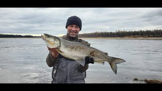 День Третий Заключительный.погода Изменилась.едем В Сторону Дома.щуки И Нельма.