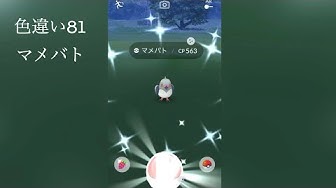 マメパト Youtube