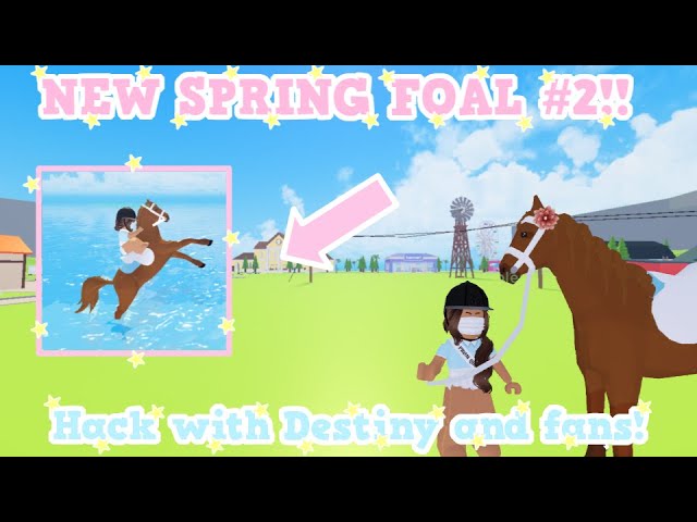 NEW 🐴] Horse Destiny Roleplay - Roblox