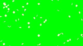 Falling Rose Petals White HD Animation - green screen effect 白いバラの花びら花吹雪