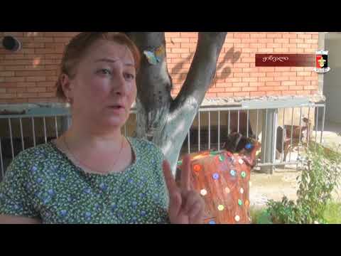 დაბა ჟინვალში შინ მოვლის პროგრამა ამოქმედდა