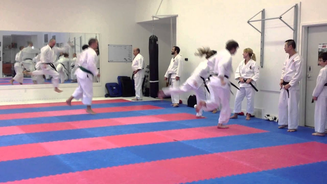 Kumite Drills, Various Plyometric Training Exercises | Shotokan Karate