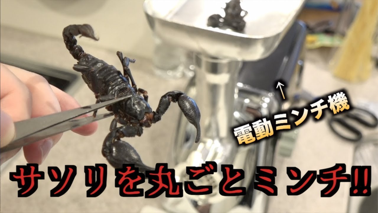 サソリ　未開封 New discovery!! I minced a scorpion and made a hamburger steak