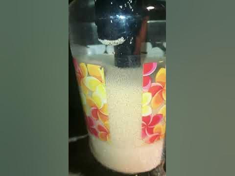 reator caseiro de purigem (5) - YouTube