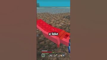 Minecraft Survival Ocelot Cat Taming Guide