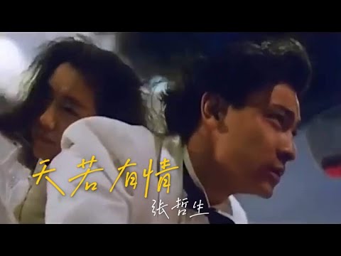 張哲生 - 天若有情（電影《追夢人》主題曲）