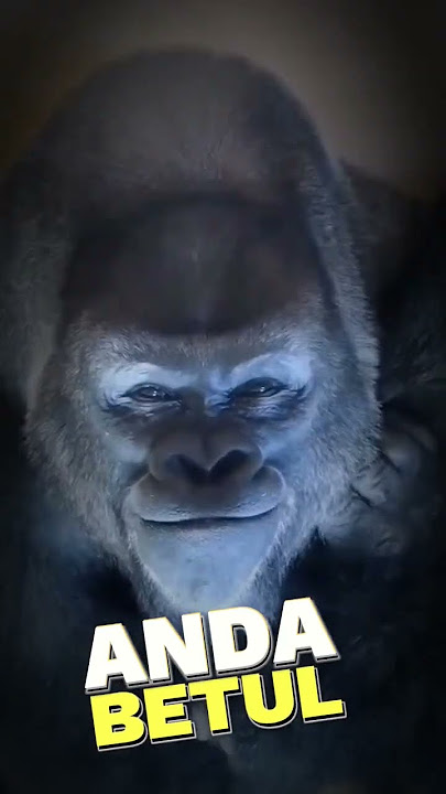 TIPS MALAM JUMAT...!! #hewan #malamjumat  #shorts